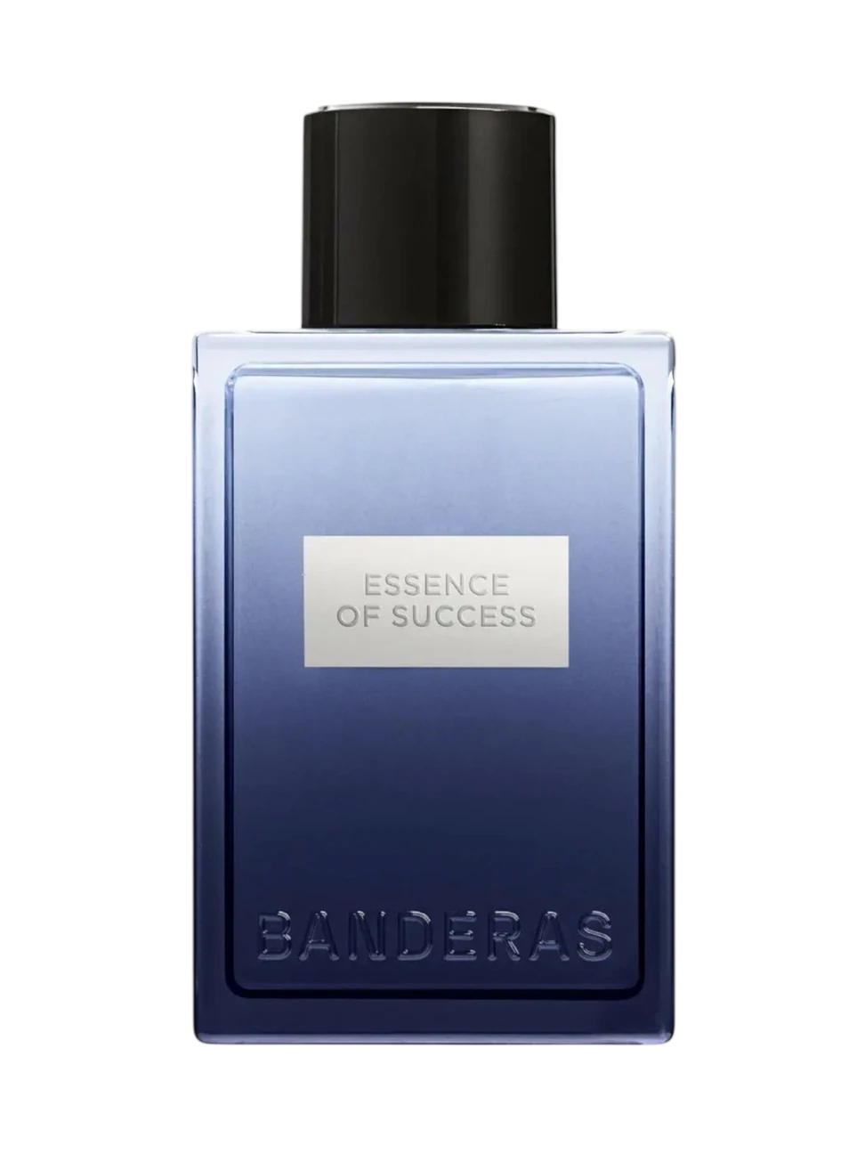 Antonio Banderas, Essence of Success, Eau De Toilette, For Men, 100 ml
