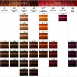 Schwarzkopf Professional, Igora Royal, Permanent Hair Dye, 1-1 Blue Black, 60 ml